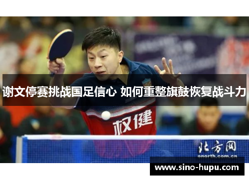 谢文停赛挑战国足信心 如何重整旗鼓恢复战斗力 谢文停赛挑战国足信心 如何重整旗鼓恢复战斗力