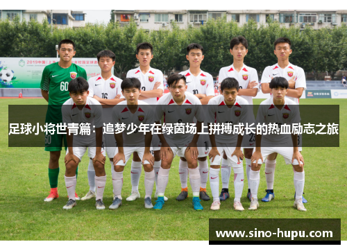 足球小将世青篇:追梦少年在绿茵场上拼搏成长的热血励志之旅 足球小将世青篇:追梦少年在绿茵场上拼搏成长的热血励志之旅