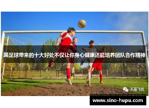 踢足球带来的十大好处不仅让你身心健康还能培养团队合作精神 踢足球带来的十大好处不仅让你身心健康还能培养团队合作精神