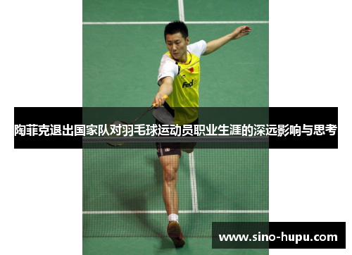 陶菲克退出国家队对羽毛球运动员职业生涯的深远影响与思考